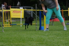 k-IMGP0327