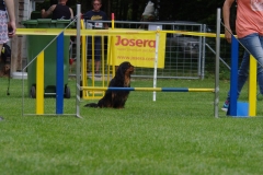 k-IMGP0331