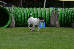 k-IMGP0343