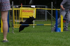 k-IMGP0359