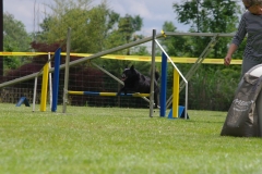 k-IMGP0364