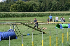 IMG_8620