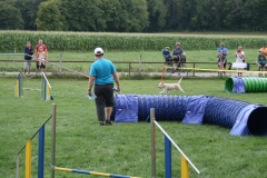 IMG_8736